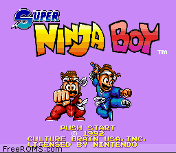 Super Ninja Boy-preview-image