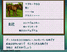 Thoroughbred Breeder online game screenshot 2