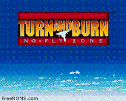 Turn and Burn - No-Fly Zone online game screenshot 2