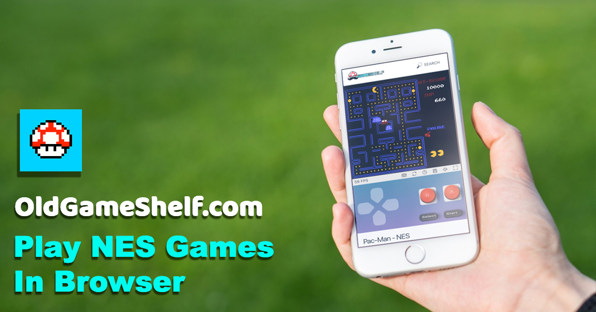 Play nes store games in browser