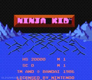 NES Ninja - Online Nintendo games