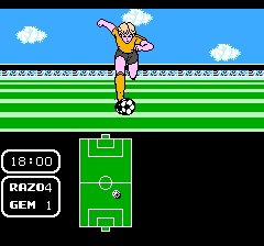 Play NES Tecmo World Cup Soccer (Japan) Online in your browser