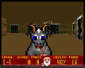 Play Super Noah's Ark 3D SNES Online Play Super Noah's Ark 3D SNES Online